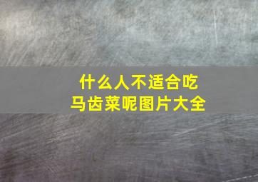 什么人不适合吃马齿菜呢图片大全