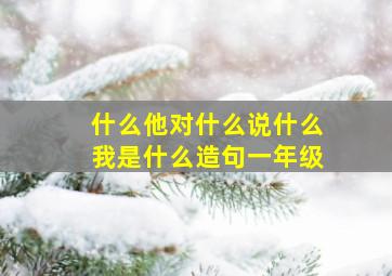 什么他对什么说什么我是什么造句一年级