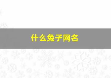 什么兔子网名