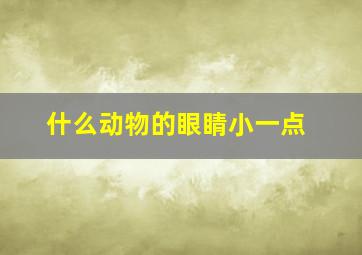 什么动物的眼睛小一点