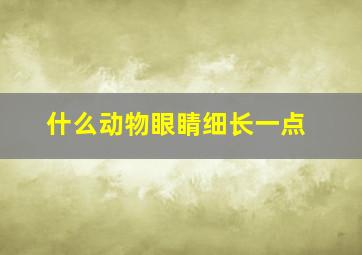 什么动物眼睛细长一点