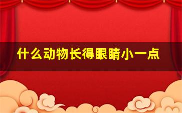 什么动物长得眼睛小一点