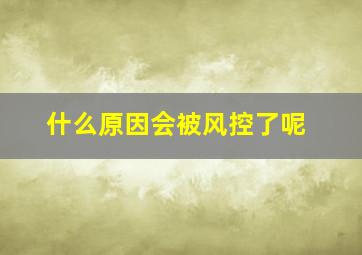 什么原因会被风控了呢