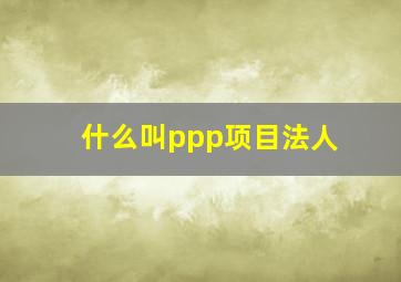 什么叫ppp项目法人