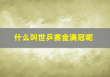 什么叫世乒赛金满冠呢