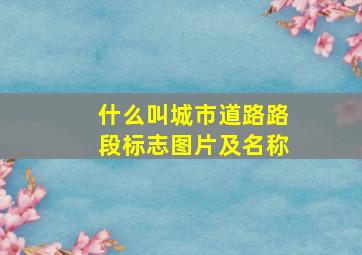 什么叫城市道路路段标志图片及名称