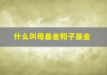 什么叫母基金和子基金