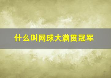 什么叫网球大满贯冠军