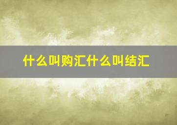 什么叫购汇什么叫结汇