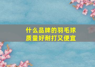 什么品牌的羽毛球质量好耐打又便宜