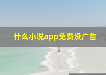 什么小说app免费没广告