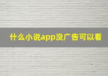 什么小说app没广告可以看