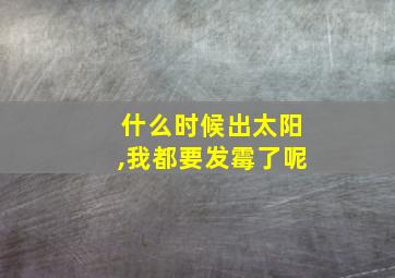 什么时候出太阳,我都要发霉了呢