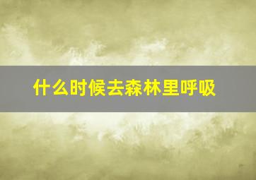 什么时候去森林里呼吸