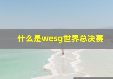 什么是wesg世界总决赛