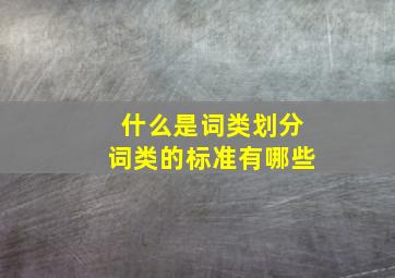 什么是词类划分词类的标准有哪些