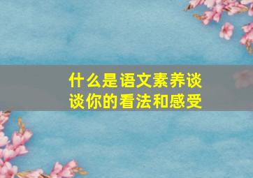 什么是语文素养谈谈你的看法和感受