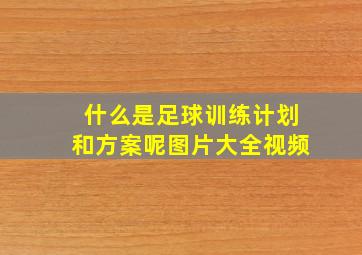 什么是足球训练计划和方案呢图片大全视频