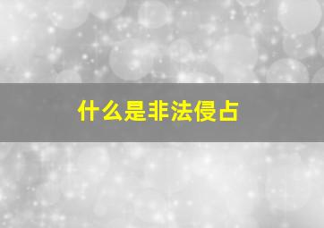 什么是非法侵占