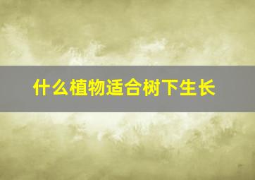 什么植物适合树下生长