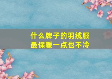 什么牌子的羽绒服最保暖一点也不冷