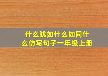 什么犹如什么如同什么仿写句子一年级上册