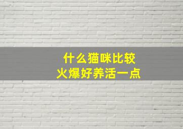 什么猫咪比较火爆好养活一点