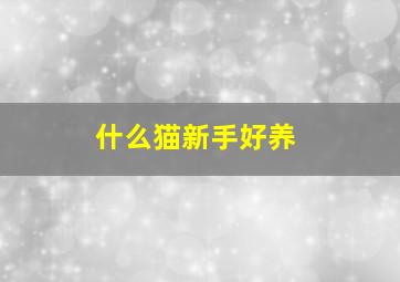 什么猫新手好养