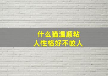 什么猫温顺粘人性格好不咬人