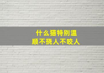 什么猫特别温顺不挠人不咬人