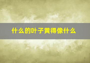 什么的叶子黄得像什么