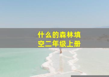 什么的森林填空二年级上册