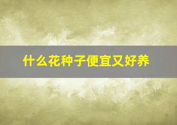 什么花种子便宜又好养