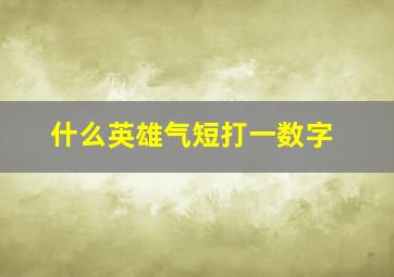 什么英雄气短打一数字