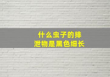 什么虫子的排泄物是黑色细长