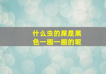 什么虫的屎是黑色一圈一圈的呢