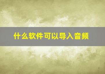 什么软件可以导入音频