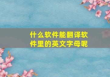 什么软件能翻译软件里的英文字母呢