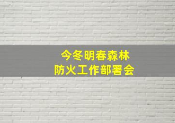 今冬明春森林防火工作部署会