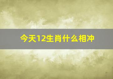 今天12生肖什么相冲