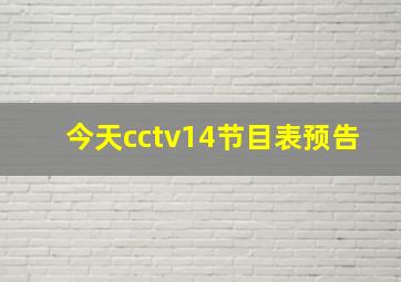 今天cctv14节目表预告