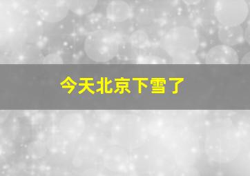 今天北京下雪了