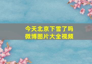 今天北京下雪了吗微博图片大全视频