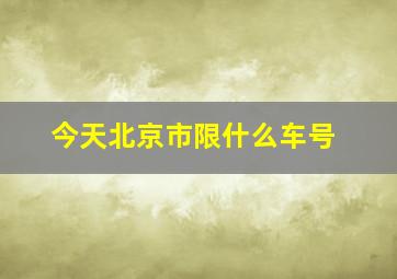 今天北京市限什么车号