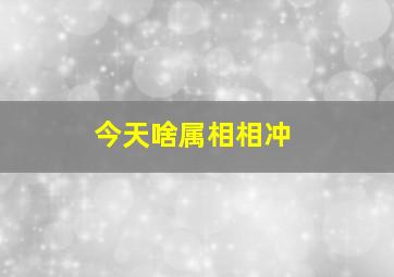 今天啥属相相冲