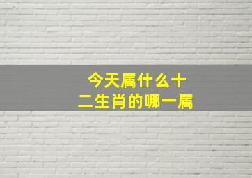 今天属什么十二生肖的哪一属