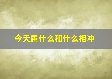 今天属什么和什么相冲