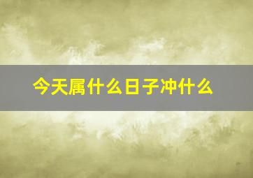 今天属什么日子冲什么