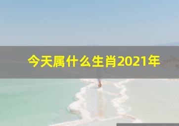 今天属什么生肖2021年