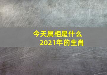 今天属相是什么2021年的生肖